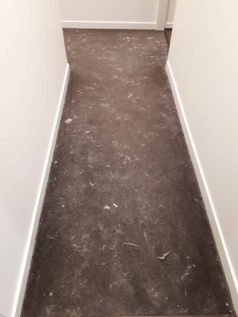 Hallway carpet covered in lint before carpet steam cleaning
