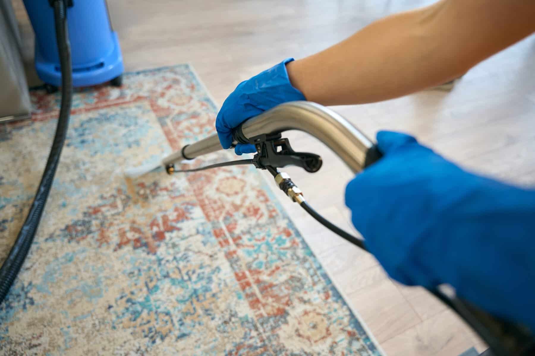 Carpet steam cleaning in progress