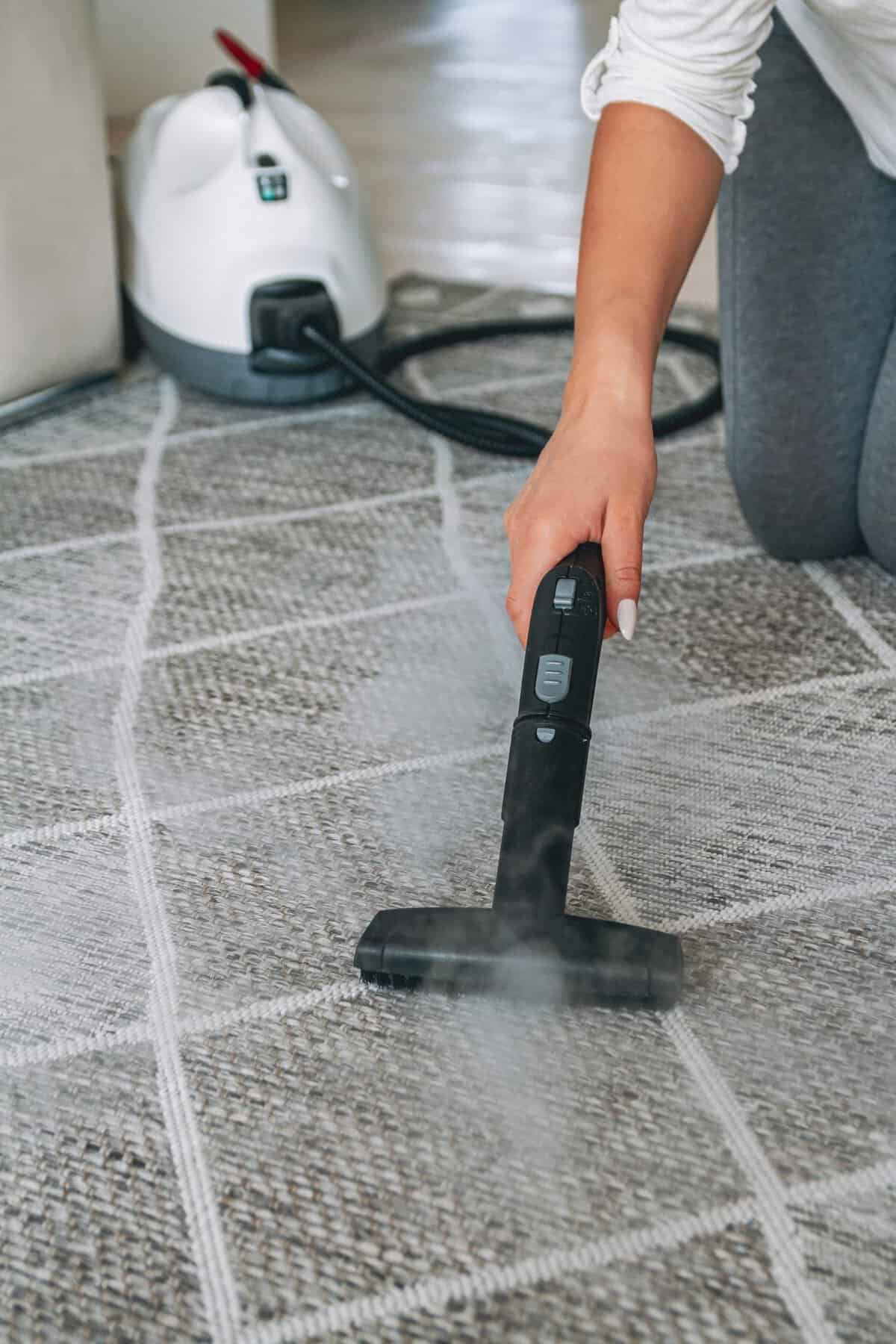 Carpet steam cleaner vacuuming a rug