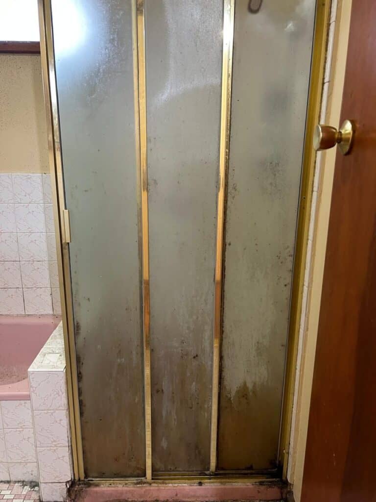 Mouldy shower screen before bathroom cleaning